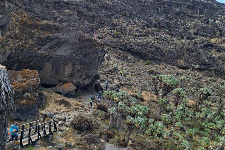 African-wild-whispers-Barranco-Wall.jpg