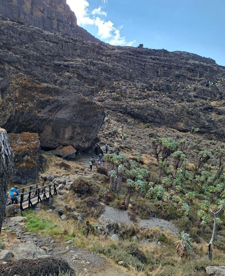 African-wild-whispers-Barranco-Wall.jpg