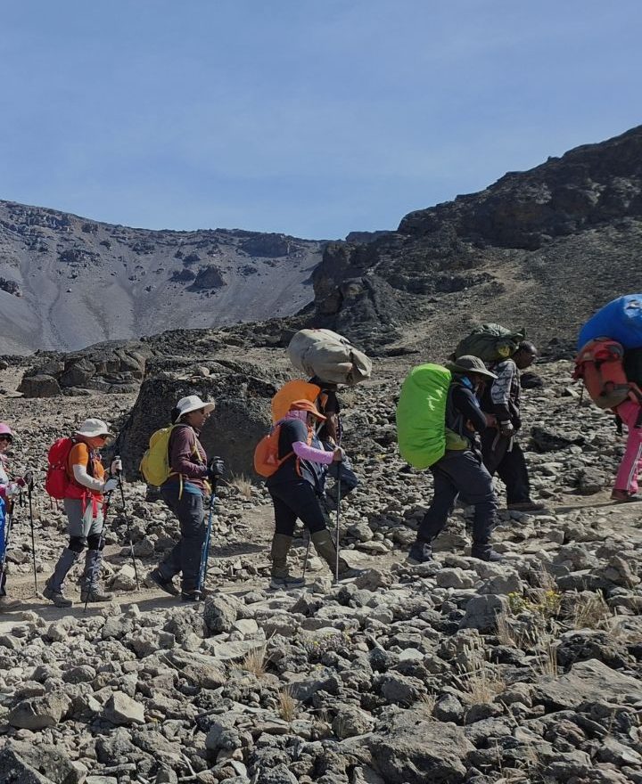 African-wild-whispers-Machame-Route.jpg