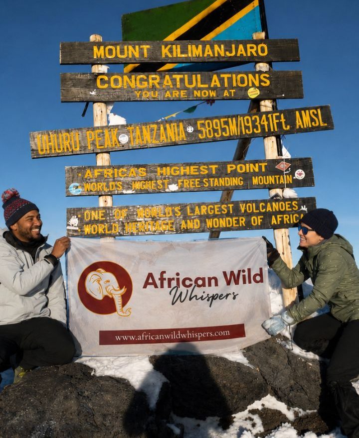 African wild whispers - Uhuru Peak Experience