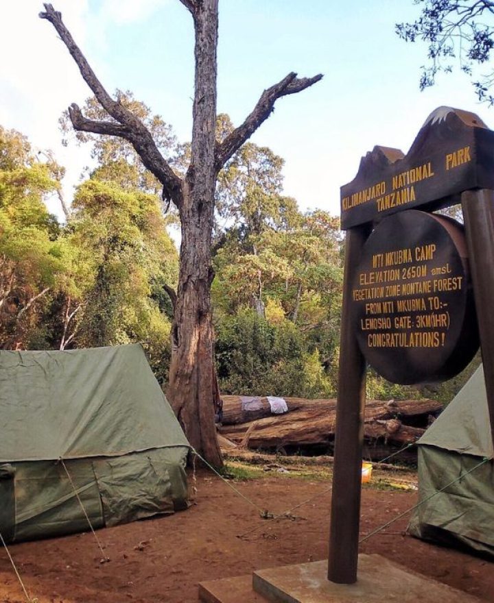 Mti-Mkubwa.jpg