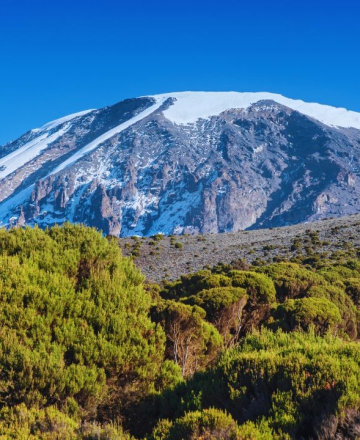 kilimanjaro-3.jpg