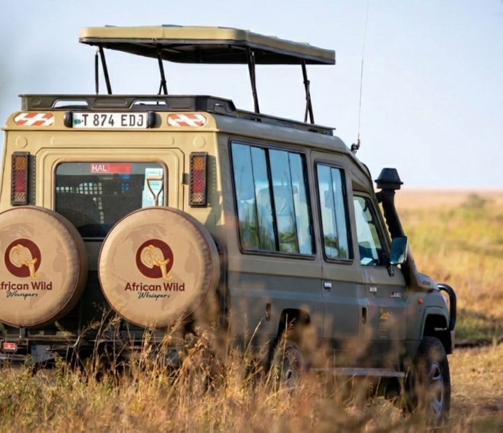 avoid long driving hours between serengeti and ngorongoro